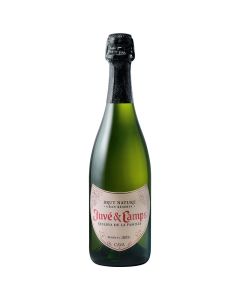 Juve y Camps Reserva de la Familia cava 75 cl
