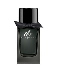 Burberry Mr. Burberry Eau de Parfum spray 100 ml