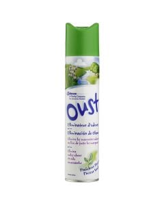Green fresh freshness Oust spray 300 ml