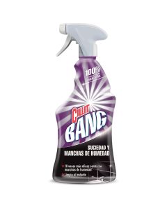 Powerful Spray Cleaner Dirt & Moisture Stains Cillit Bang 750 ml sprayer