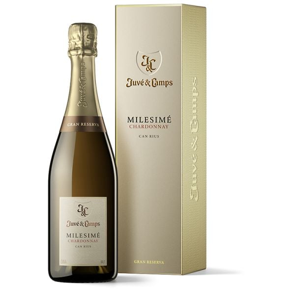 Juve y Camps Milesimé brut reserva cava 75 cl
