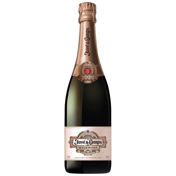 Juve y Camps Milesimé Reserva Brut Pinot Noir cava rose 75 cl