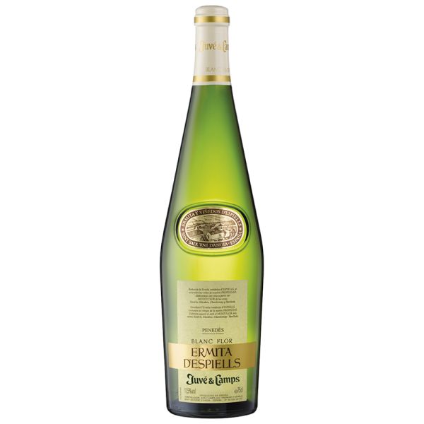 Juve y Camps Ermita d'Espiels white wine 75 cl