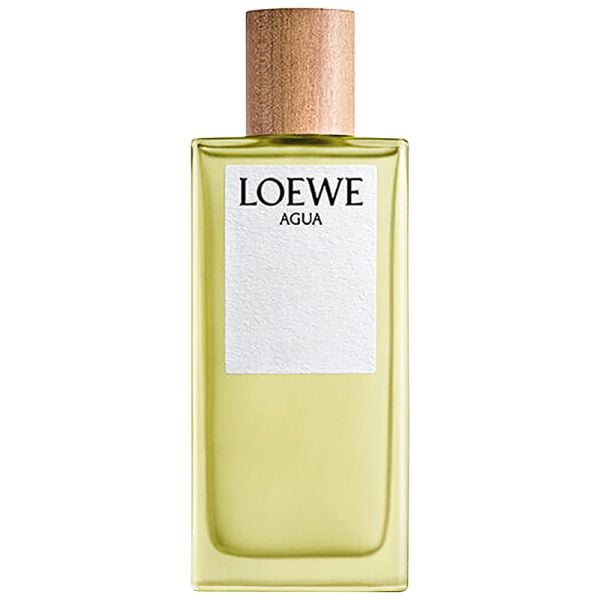 Loewe Agua de Loewe eau de toilette spray 100 ml