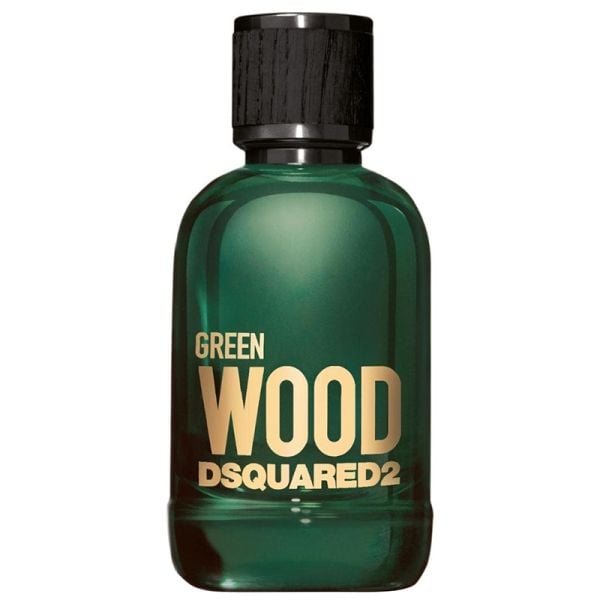 Dsquared2 Green Wood eau de toilette spray 100 ml