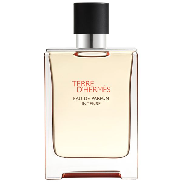 Hermès Terre d'Hermès Eau de Parfum Intense spray 100 ml