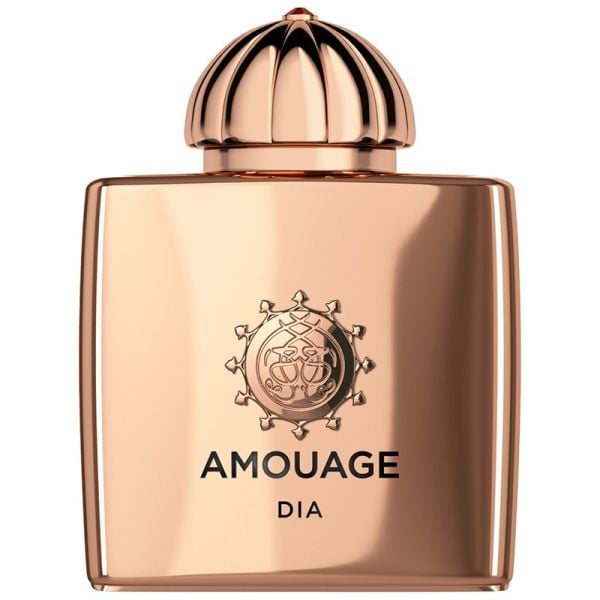 Amouage Dia eau de parfum spray 100 ml