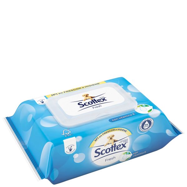 Wet toilet paper Scottex 74 units