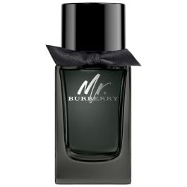 Burberry Mr. Burberry Eau de Parfum spray 100 ml