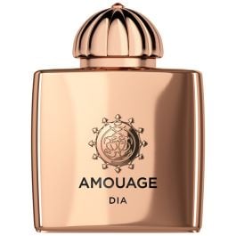 Amouage Dia Eau de Parfum spray 100 ml