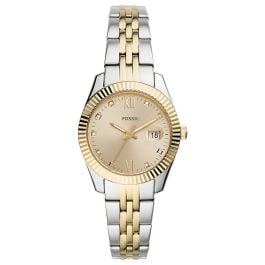 Fossil ES4949 WAT Scarlette Mini, women's watch